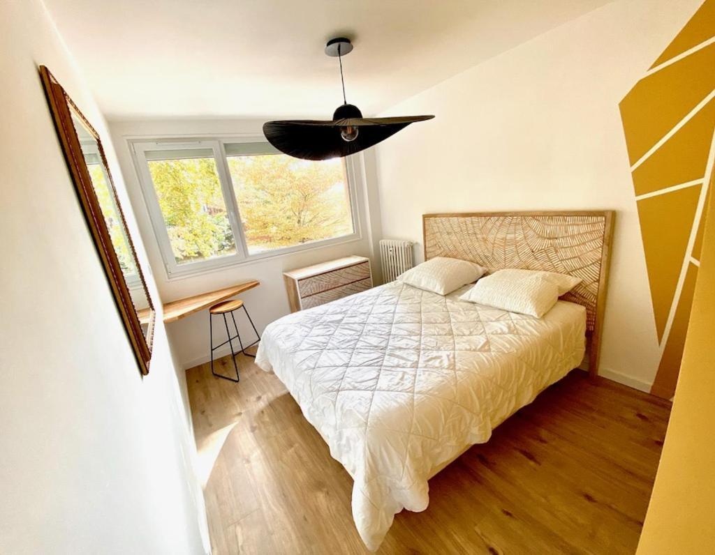 Appartement Refait A Neuf Centre Ville Toulouse Dış mekan fotoğraf