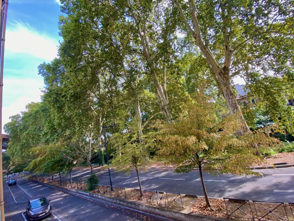 Appartement Refait A Neuf Centre Ville Toulouse Dış mekan fotoğraf